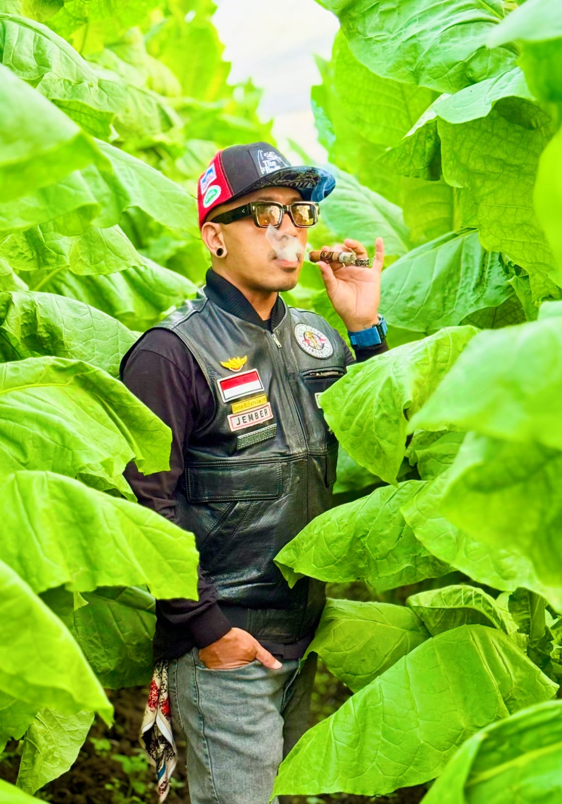 Deny Just Cigar 
